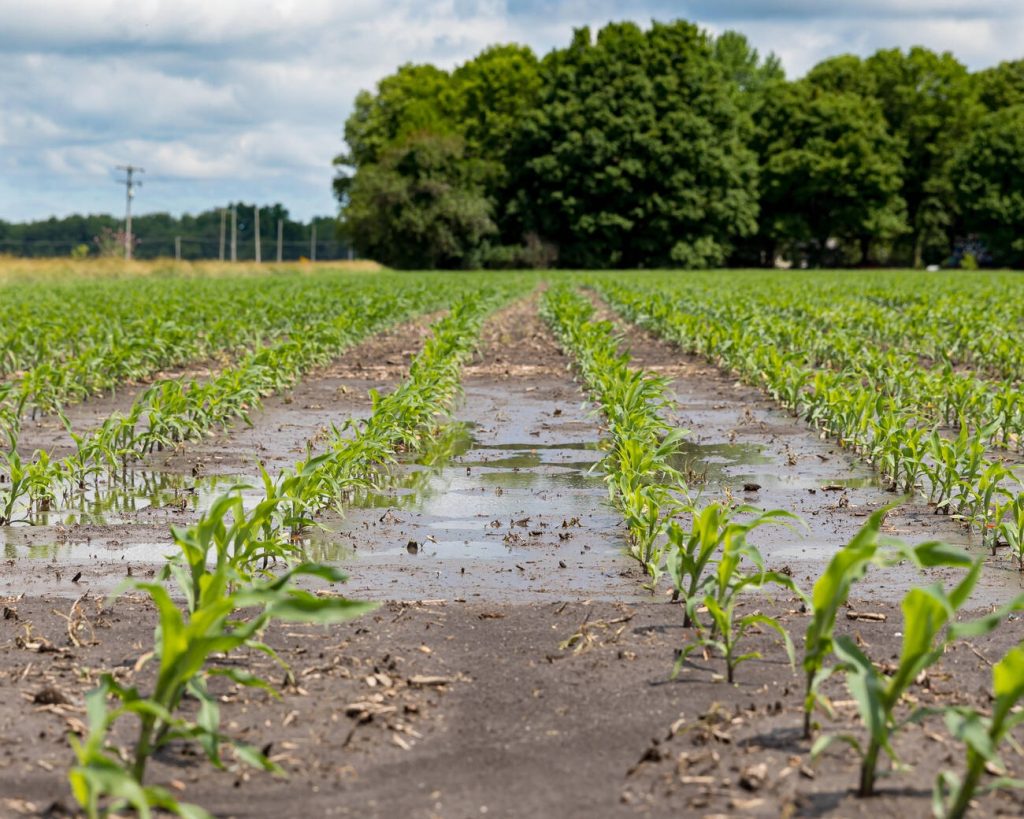 midwest climate and global warming impact